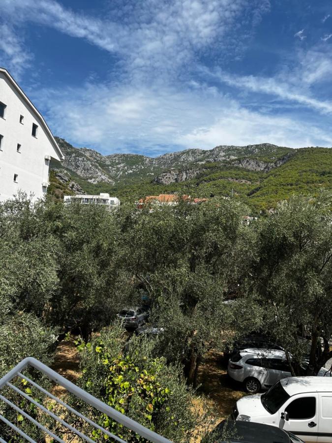 Daire Kuljaca Budva